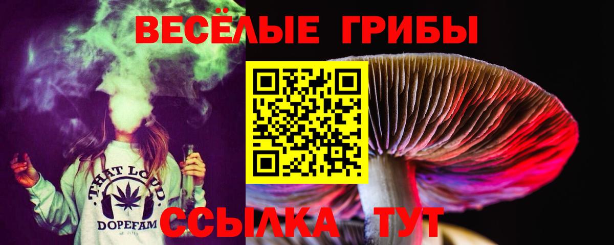 Псилоцибиновые грибы прущие грибы  Галлюциногенные грибы MAGIC MUSHROOMS  Малоярославец  Вход с VPN 