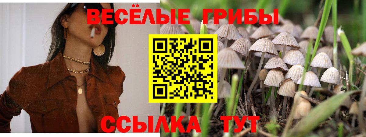 Псилоцибиновые грибы MAGIC MUSHROOMS Малоярославец